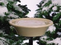 Heated Bird Bath With Easy Tilt & Clean 6 Heated Bird Bath With Easy Tilt & Clean - Image 4