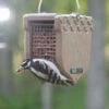 Recycled Shelled Peanut Feeder 1 Recycled Shelled Peanut Feeder -THE BIRDHOUSE CHICK Sales ACORNwWoodpecker
