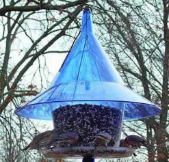 Sky Cafe Squirrel Proof Feeder 8 Sky Cafe Squirrel Proof Feeder -THE BIRDHOUSE CHICK Sales AR360B a2660ad7 c494 4d94 b220 c358c3ec9584