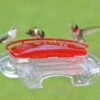 Jewel Box Window Hummingbird Feeder -THE BIRDHOUSE CHICK Sales ASP lrg 407 7e9f35c2 9fe6 4db7 aa2a c42e1fcc789a