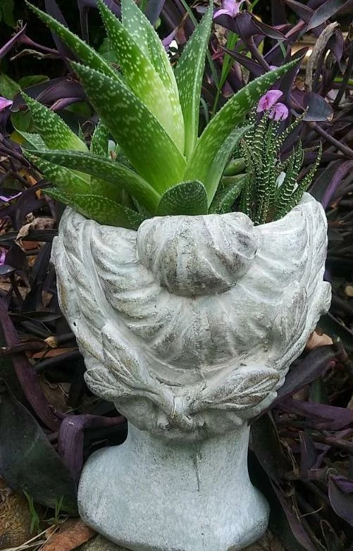 Aphrodite Lady Head Planter 6 Aphrodite Lady Head Planter - Image 4