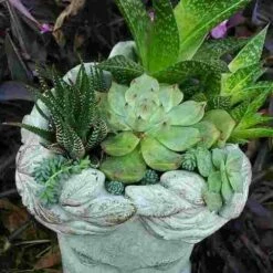 Aphrodite Lady Head Planter 8 Aphrodite Lady Head Planter -THE BIRDHOUSE CHICK Sales Aphrodite Head Planter Top View