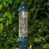 Squirrel Buster Plus With Optional Weather Guard -THE BIRDHOUSE CHICK Sales BRM1024 color d7418b1f bcf7 45f0 a87d a292fda24e68