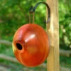 Ellipse Wooden Birdhouse- 3 Colors 2 Ellipse Wooden Birdhouse- 3 Colors -THE BIRDHOUSE CHICK Sales BYR ellipse