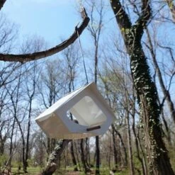 Featured Products -THE BIRDHOUSE CHICK Sales Beekman Fly Thru Bird Feeder