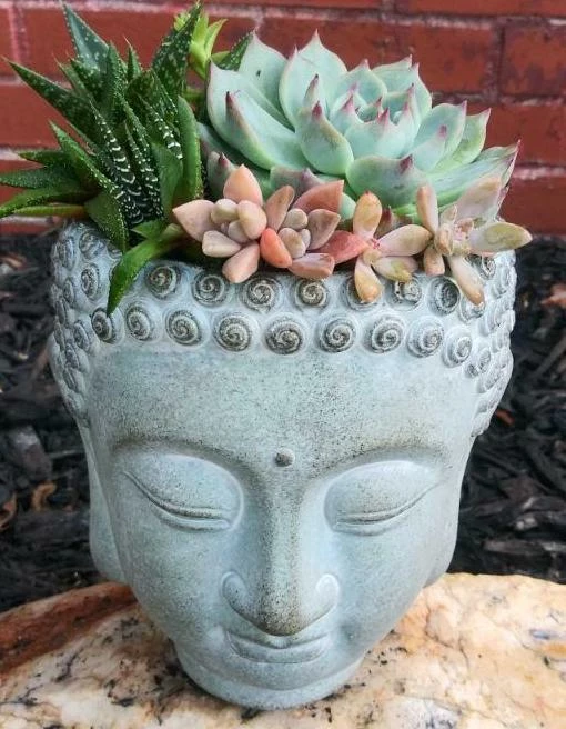 Buddha Head Planter 4 Buddha Head Planter - Image 2