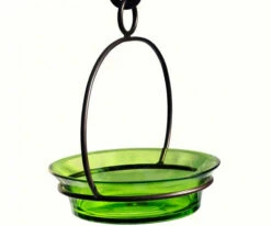 Glass Globe Dish Feeder/Mini-Bath- Red Or Lime 9 Glass Globe Dish Feeder/Mini-Bath- Red Or Lime -THE BIRDHOUSE CHICK Sales COURM33720001