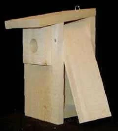 Eastern Bluebird Bird House Kit