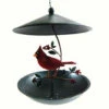 Cardinal Bistro Hanging Bird Feeder 2 Cardinal Bistro Hanging Bird Feeder -THE BIRDHOUSE CHICK Sales Cardinal Bistro Hanging Bird Feeder