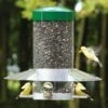 Classic Squirrel Proof Hanging Bird Feeder 12" -THE BIRDHOUSE CHICK Sales Classic Hanging Squirrel Proof Bird Feeder