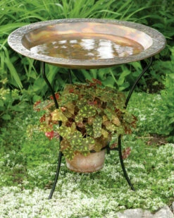 Flamed Bird Bath With Planter
