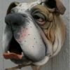 Bull Dog Ceramic Birdhouse 1 Bull Dog Ceramic Birdhouse -THE BIRDHOUSE CHICK Sales DF 11 WM58 8cf0c26c 1f2f 46fa b6de dee16dd611dc