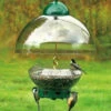Big Top Squirrel Proof Bird Feeder 2 Big Top Squirrel Proof Bird Feeder -THE BIRDHOUSE CHICK Sales DYBTG