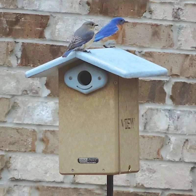 Deluxe Reycled Bluebird House-NABS Approved 3 Deluxe Reycled Bluebird House-NABS Approved