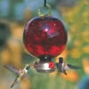 Dew Drop Ruby Red Hummingbird Feeder 2 Dew Drop Ruby Red Hummingbird Feeder -THE BIRDHOUSE CHICK Sales Dew Drop Hummingbird feeder giftset
