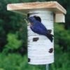 Gilbertson Nest Box - NABS Approved -THE BIRDHOUSE CHICK Sales GILBERTSON 92558003 474a 4819 8b0d f12a17466274