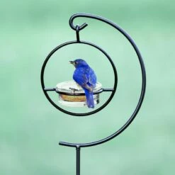 Garden Pole For Orb Feeders