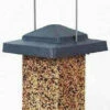 Vista Squirrel Proof Bird Feeder 2 Vista Squirrel Proof Bird Feeder -THE BIRDHOUSE CHICK Sales HF75160