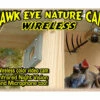 Hawk-Eye Wireless Spy Camera For Birdwatching 1 Hawk-Eye Wireless Spy Camera For Birdwatching -THE BIRDHOUSE CHICK Sales Hawk Eye Wireless Spy Camera