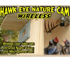 Hawk-Eye Wireless Spy Camera For Birdwatching