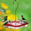 High-View Square Hummingbird Feeder -THE BIRDHOUSE CHICK Sales High View Square Hummingbird Feeder