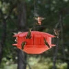 Humm-Bug Protein Hummingbird Feeder 1 Humm-Bug Protein Hummingbird Feeder -THE BIRDHOUSE CHICK Sales Hum Bug Protein Hummingbird Feeder
