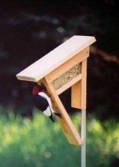 Featured Products 18 Clinger Woodpecker And Peanut Feeder