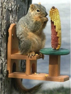 Table And Chair Squirrel Feeder - Recycled Plastic