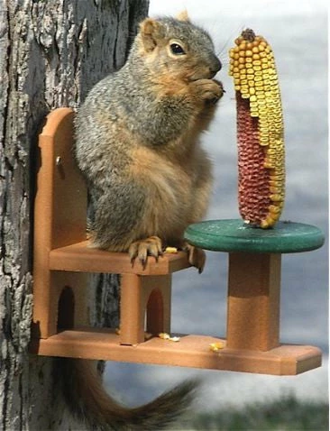 Table And Chair Squirrel Feeder - Recycled Plastic 3 Table And Chair Squirrel Feeder - Recycled Plastic