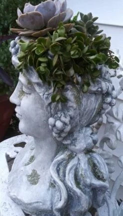 Large Lady Head Planter 11 Large Lady Head Planter -THE BIRDHOUSE CHICK Sales Lady Head Planter Side Detail