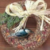 Gourmet Pecan And Fruit Wreath 1 Gourmet Pecan And Fruit Wreath -THE BIRDHOUSE CHICK Sales MB132 3e61039a de6a 4656 a9d8 30bc5e0ef5c8