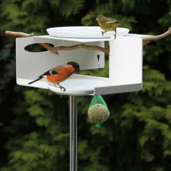 Mod Bird Bath/Feeder On Pole