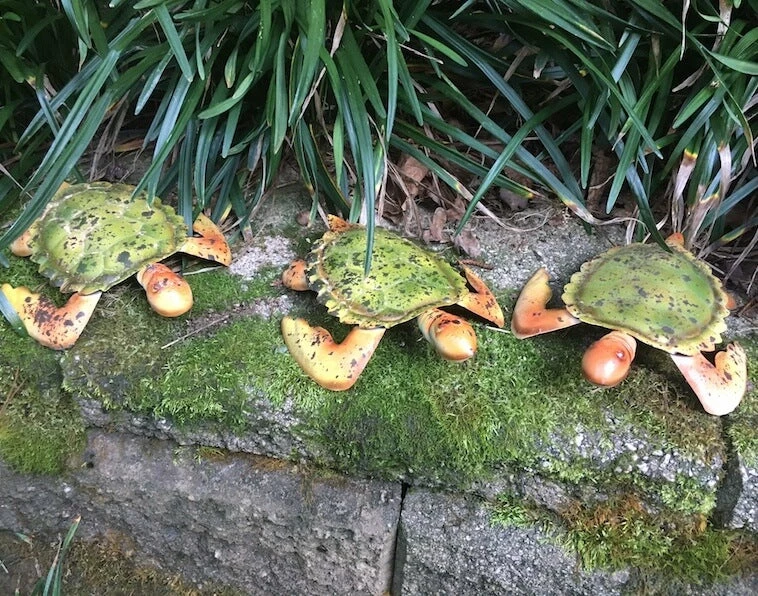 Mojo Garden Turtles Set/3 4 Mojo Garden Turtles Set/3 - Image 2