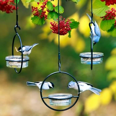 Orb Mealworm & Multi-Use Bird Feeder 4 Orb Mealworm & Multi-Use Bird Feeder - Image 2