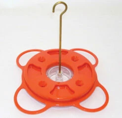 Oriolefest Oriole Bird Feeder 7 Oriolefest Oriole Bird Feeder -THE BIRDHOUSE CHICK Sales NP1009 plain 2faac4d4 1641 4536 84b6 e5222fba40df