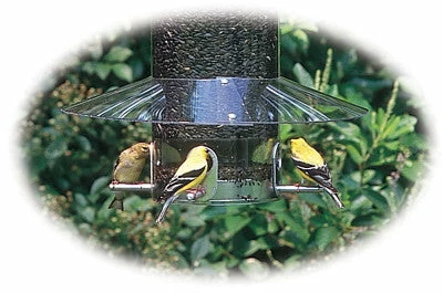 Weather Guard For Classic Bird Feeders 3 Weather Guard For Classic Bird Feeders