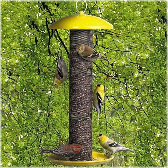 Yellow Finch Feeder By No-No 3 Yellow Finch Feeder By No-No