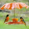 Oriolefest Oriole Bird Feeder 2 Oriolefest Oriole Bird Feeder -THE BIRDHOUSE CHICK Sales Oriolefest weatherguard