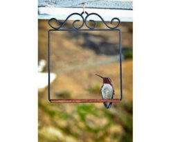 Pop's Hummingbird Swing -THE BIRDHOUSE CHICK Sales POPSWINGBL