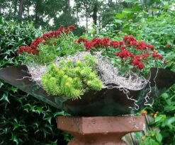 Featured Products 5 Patina Copper Planter Or Birdbath