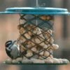 Peanut In Shell Feeder -THE BIRDHOUSE CHICK Sales Peanu In Shell Feeder