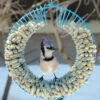 Whole Peanut Wreath Feeder 1 Whole Peanut Wreath Feeder -THE BIRDHOUSE CHICK Sales Peanut Bird Feeder Wreath