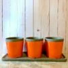 Poppy Triple Herb Planters- Detached Tray 2 Poppy Triple Herb Planters- Detached Tray -THE BIRDHOUSE CHICK Sales Poppy Triple Herb Planters