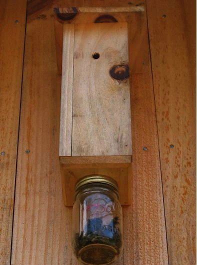 Carpenter Bee Trap 3 Carpenter Bee Trap