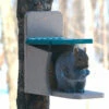Recycled Munch Box Squirrel Feeder -THE BIRDHOUSE CHICK Sales Recycled Munch Box Squirrel Feeder 4650f926 7a69 43b0 8e48 04c9e42deee9