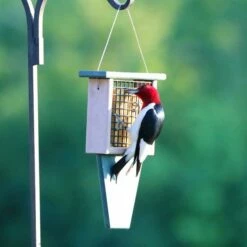 Recycled Tail Prop Suet Feeder