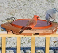 Cedar Heated Deck Mount Bird Bath