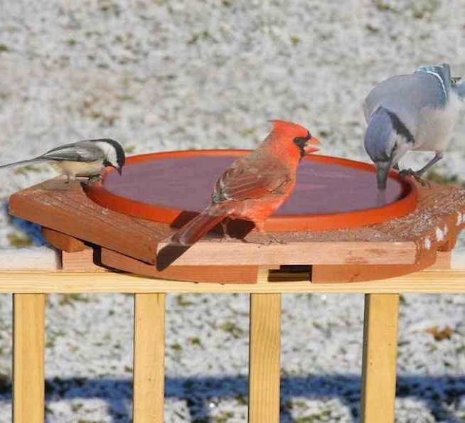 Cedar Heated Deck Mount Bird Bath 3 Cedar Heated Deck Mount Bird Bath