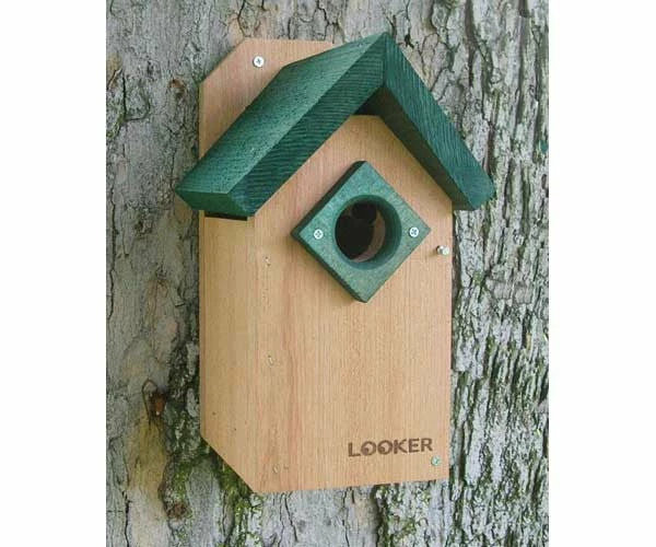 Green Roof Bluebird House-NABS Approved 3 Green Roof Bluebird House-NABS Approved