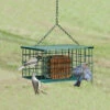 Squirrel-Proof Suet Feeder 2 Squirrel-Proof Suet Feeder -THE BIRDHOUSE CHICK Sales SE6000 1